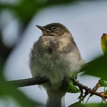 Quarto em Acomodações Particulares Nowakowscy Łeba