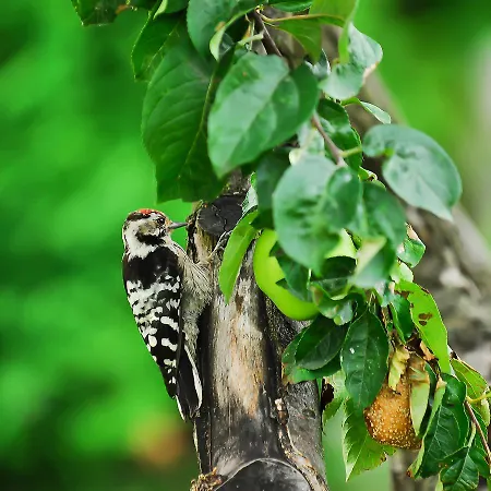 Quarto em Acomodações Particulares Nowakowscy
