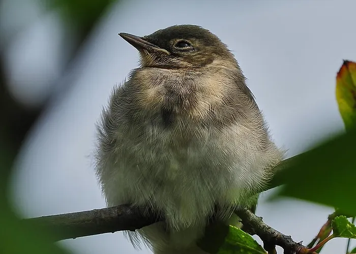 Rum i privatbostad Nowakowscy Łeba